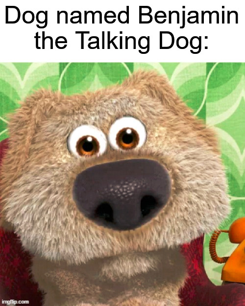 Dog named Benjamin the Talking Dog: | made w/ Imgflip meme maker