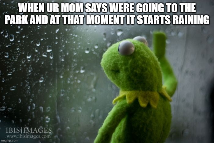 kermit window | WHEN UR MOM SAYS WERE GOING TO THE PARK AND AT THAT MOMENT IT STARTS RAINING | image tagged in kermit window | made w/ Imgflip meme maker