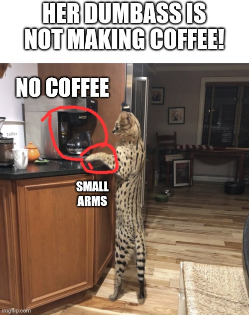 HER DUMBASS IS NOT MAKING COFFEE! NO COFFEE; SMALL ARMS | made w/ Imgflip meme maker