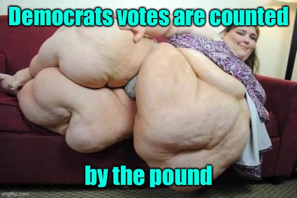 fat girl | Democrats votes are counted by the pound | image tagged in fat girl | made w/ Imgflip meme maker