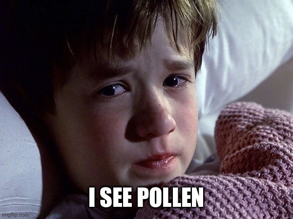 I see pollen six sense | I SEE POLLEN | image tagged in i see pollen,i see dead people,pollen,spring,atlanta,brosephatl | made w/ Imgflip meme maker