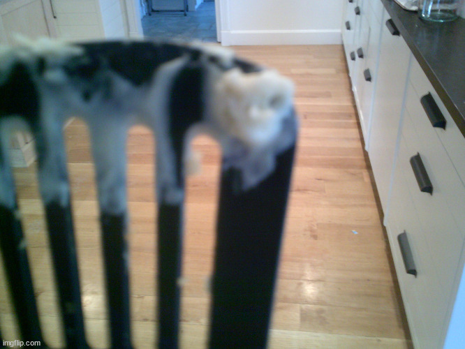 I was making pancakes and the batter looked like a skull or smth | made w/ Imgflip meme maker