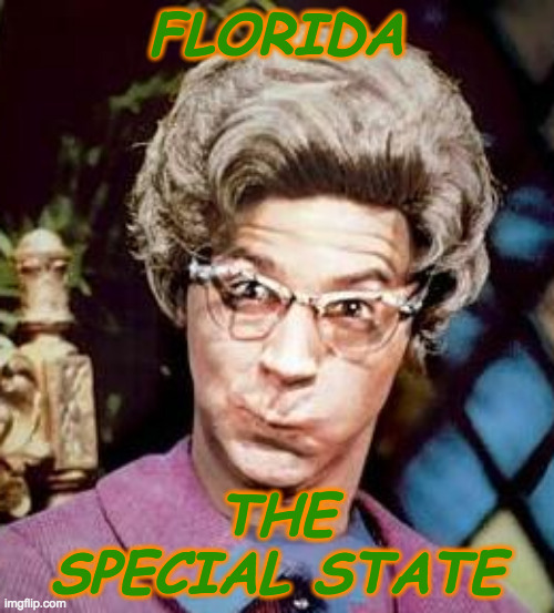 FLORIDA THE SPECIAL STATE | made w/ Imgflip meme maker