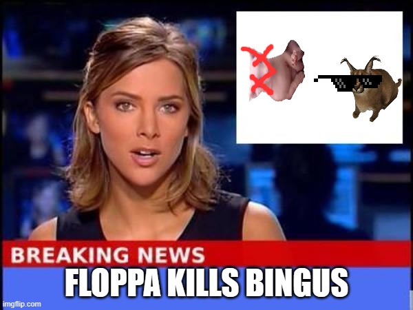 OMG YES | FLOPPA KILLS BINGUS | image tagged in breaking news,floppa | made w/ Imgflip meme maker