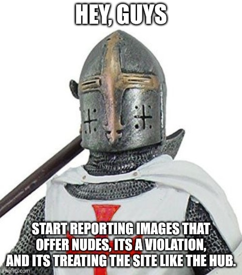Start with hornystream, they need to be reminded of what this site is | HEY, GUYS; START REPORTING IMAGES THAT OFFER NUDES, ITS A VIOLATION, AND ITS TREATING THE SITE LIKE THE HUB. | image tagged in wtf crusader | made w/ Imgflip meme maker
