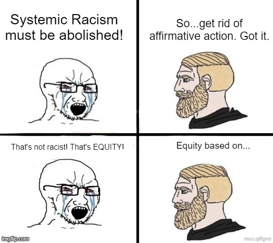 How to cause the kind of reeee that gets the dogs barking | So...get rid of affirmative action. Got it. Systemic Racism must be abolished! Equity based on... That's not racist! That's EQUITY! | made w/ Imgflip meme maker