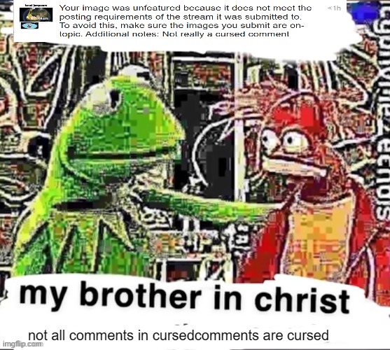 Mod note: True, sorry buddy | not all comments in cursedcomments are cursed | image tagged in my brother in christ | made w/ Imgflip meme maker