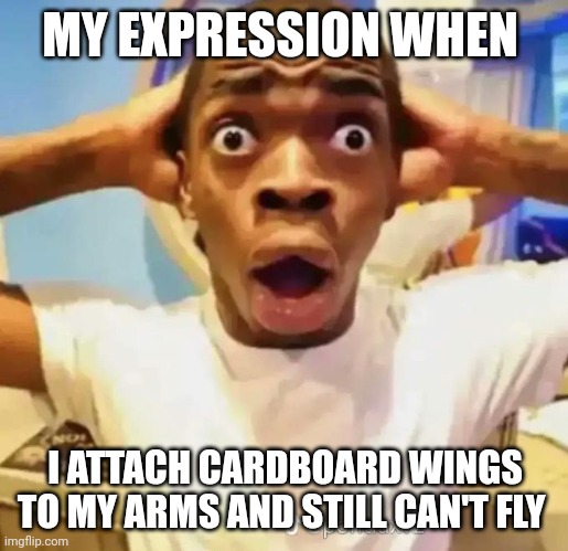 Why can't I fly?!?!? | MY EXPRESSION WHEN; I ATTACH CARDBOARD WINGS TO MY ARMS AND STILL CAN'T FLY | image tagged in shocked black guy | made w/ Imgflip meme maker