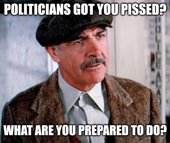 What are you prepared to do | POLITICIANS GOT YOU PISSED? WHAT ARE YOU PREPARED TO DO? | image tagged in connery untouchables,politics,al capone,sean connery | made w/ Imgflip meme maker