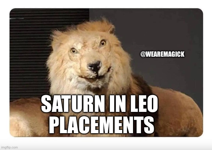 Saturn in Leo | @WEAREMAGICK; SATURN IN LEO 
PLACEMENTS | image tagged in astrology,spirituality | made w/ Imgflip meme maker