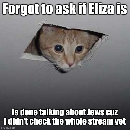 I had a sleep ? | Forgot to ask if Eliza is; Is done talking about Jews cuz I didn’t check the whole stream yet | image tagged in memes,ceiling cat,balls | made w/ Imgflip meme maker