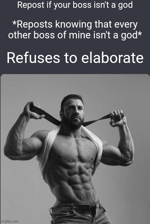 I used the temp correctly | Repost if your boss isn't a god; *Reposts knowing that every other boss of mine isn't a god*; Refuses to elaborate | image tagged in refuses to elaborate any further | made w/ Imgflip meme maker