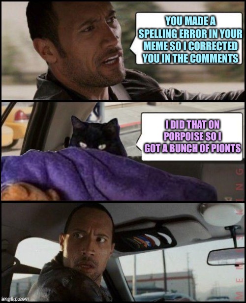 The Rock Driving Evil Cat | YOU MADE A SPELLING ERROR IN YOUR MEME SO I CORRECTED YOU IN THE COMMENTS; I DID THAT ON PORPOISE SO I GOT A BUNCH OF PIONTS | image tagged in the rock driving evil cat,memes,raycat | made w/ Imgflip meme maker
