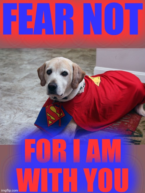 Super Dog | FEAR NOT FOR I AM
WITH YOU | image tagged in super dog | made w/ Imgflip meme maker