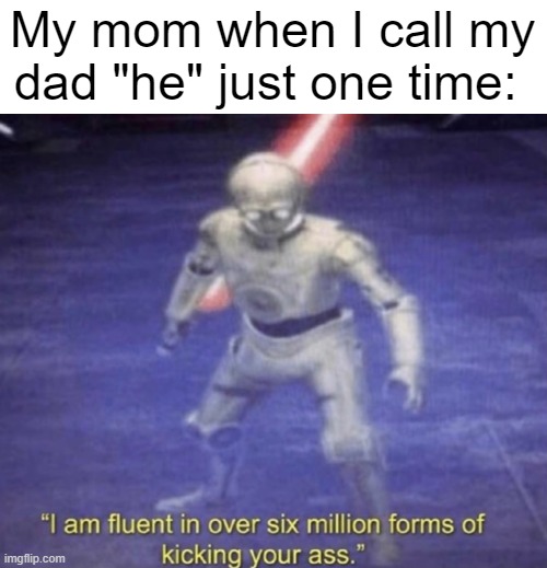 I am fluent in over six million forms of kicking your ass | My mom when I call my dad "he" just one time: | image tagged in i am fluent in over six million forms of kicking your ass | made w/ Imgflip meme maker