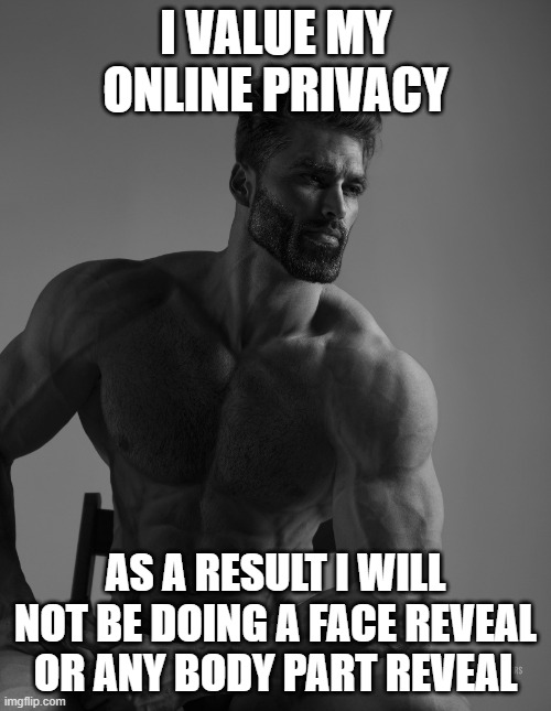Giga Chad | I VALUE MY ONLINE PRIVACY; AS A RESULT I WILL NOT BE DOING A FACE REVEAL OR ANY BODY PART REVEAL | image tagged in giga chad | made w/ Imgflip meme maker