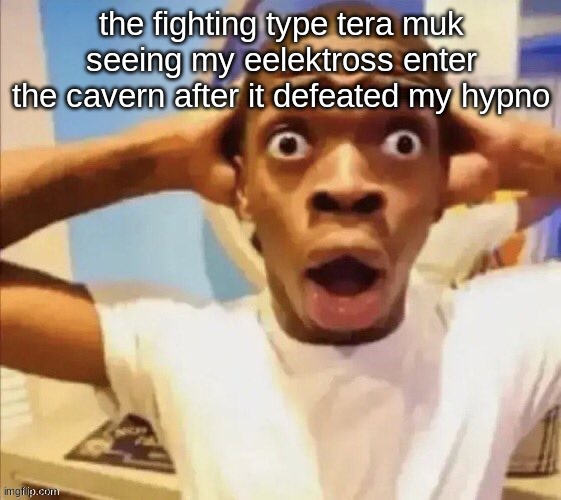 hku | the fighting type tera muk seeing my eelektross enter the cavern after it defeated my hypno | made w/ Imgflip meme maker