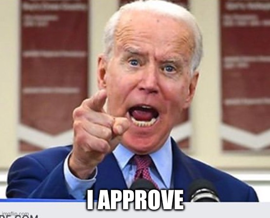 Joe Biden no malarkey | I APPROVE | image tagged in joe biden no malarkey | made w/ Imgflip meme maker