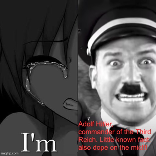 Adolf Hitler, commander of the Third Reich. Little known fact: also dope on the mic!!! | image tagged in adolf hitler | made w/ Imgflip meme maker