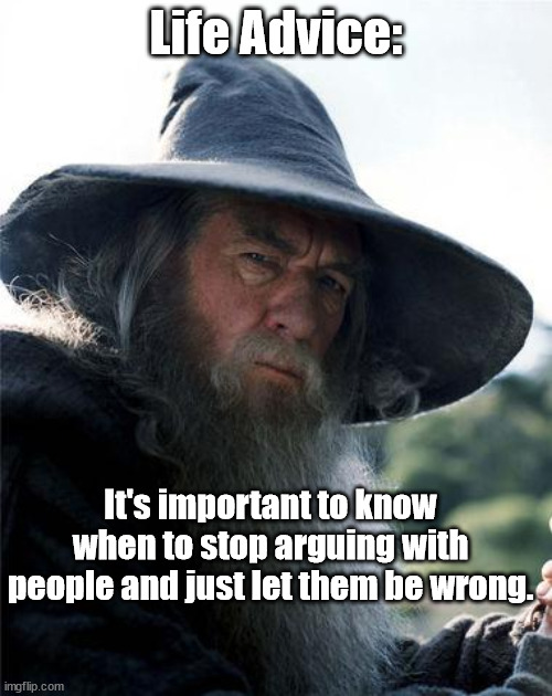 Life Advice | Life Advice:; It's important to know when to stop arguing with people and just let them be wrong. | image tagged in wizard,wisdom,life advice,life lessons | made w/ Imgflip meme maker