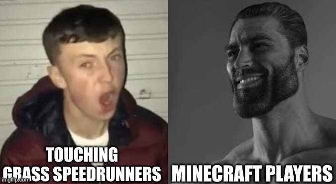 imma go touch grass rq | TOUCHING GRASS SPEEDRUNNERS; MINECRAFT PLAYERS | image tagged in average enjoyer meme | made w/ Imgflip meme maker