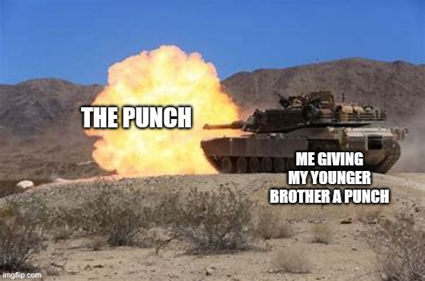 THE PUNCH; ME GIVING MY YOUNGER BROTHER A PUNCH | image tagged in fun | made w/ Imgflip meme maker