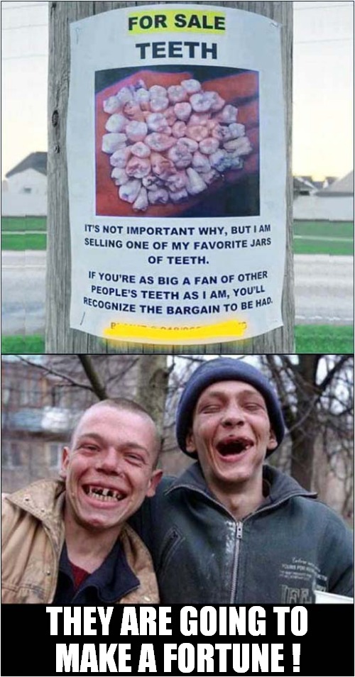 Teeth For Sale ! | THEY ARE GOING TO
MAKE A FORTUNE ! | image tagged in for sale,teeth,no teeth,front page | made w/ Imgflip meme maker