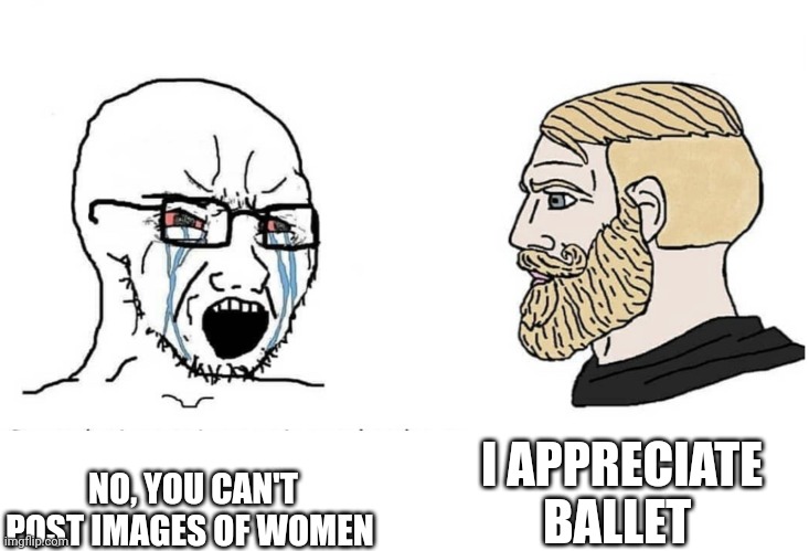 Soyboy Vs Yes Chad | NO, YOU CAN'T POST IMAGES OF WOMEN I APPRECIATE BALLET | image tagged in soyboy vs yes chad | made w/ Imgflip meme maker
