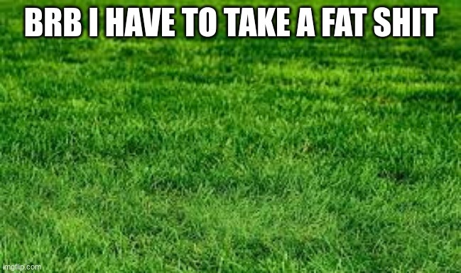 grass | BRB I HAVE TO TAKE A FAT SHIT | image tagged in touching grass | made w/ Imgflip meme maker