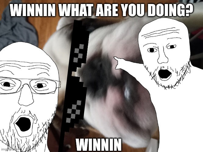 I got roasted by the winnin | WINNIN WHAT ARE YOU DOING? WINNIN | image tagged in winning | made w/ Imgflip meme maker