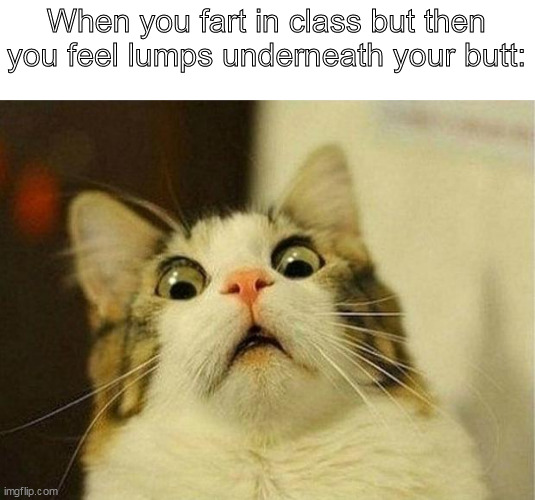 oh no | When you fart in class but then you feel lumps underneath your butt: | image tagged in memes,scared cat | made w/ Imgflip meme maker