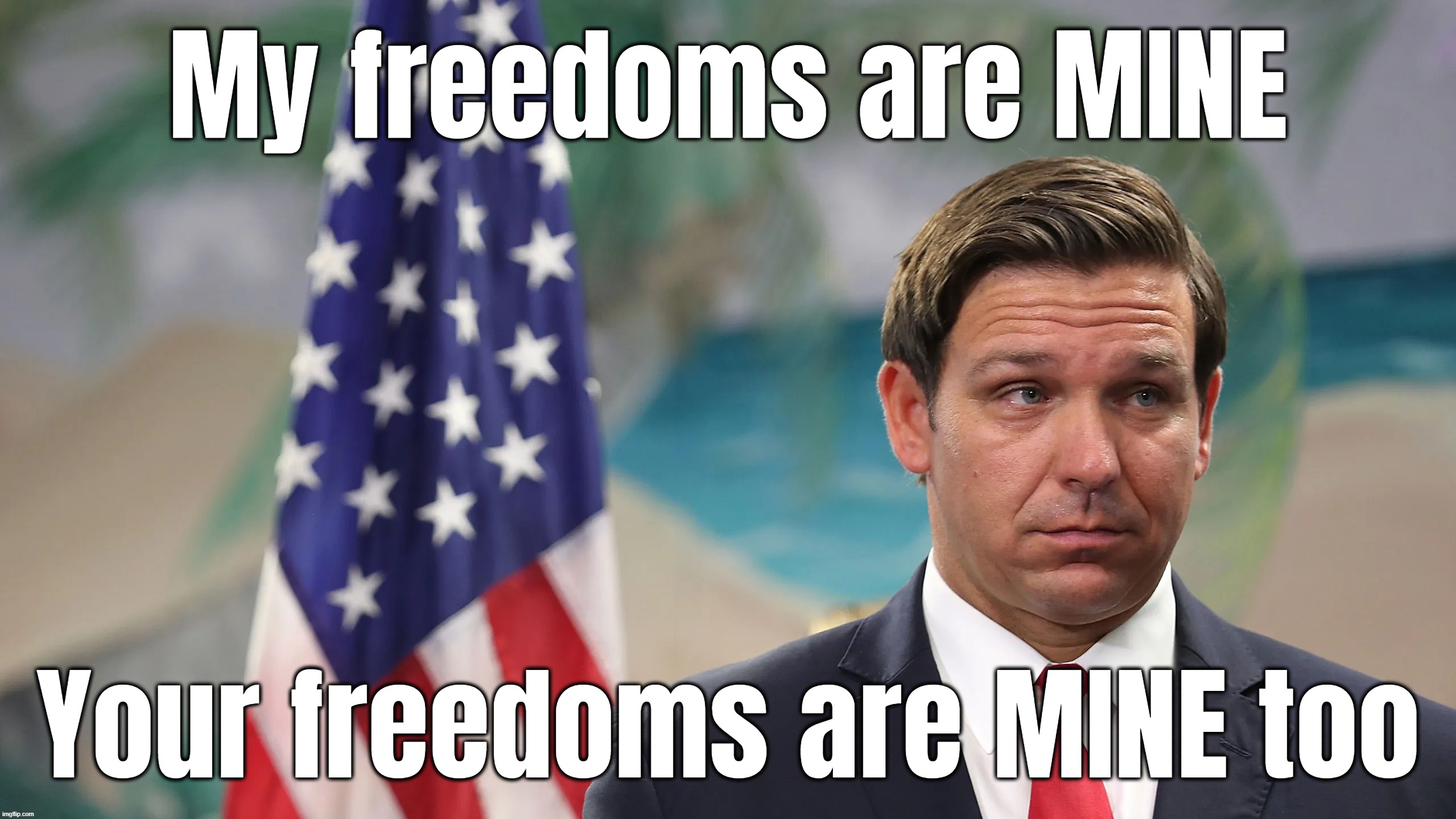 freedoms just another word for.......nothin' left to lose... | My freedoms are MINE; Your freedoms are MINE too | image tagged in moron,freedom in murica,thief,his,ours,mine | made w/ Imgflip meme maker