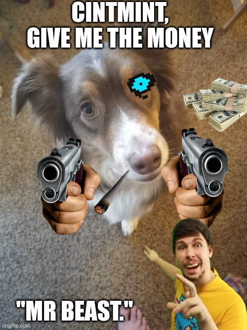 The cintmint | CINTMINT, GIVE ME THE MONEY; "MR BEAST." | image tagged in the cintmint | made w/ Imgflip meme maker