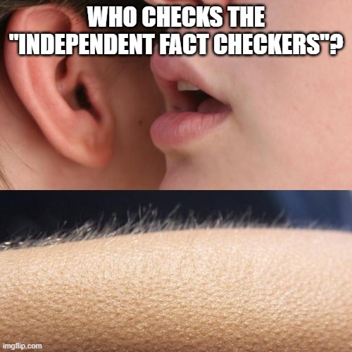 Whisper and Goosebumps | WHO CHECKS THE "INDEPENDENT FACT CHECKERS"? | image tagged in whisper and goosebumps | made w/ Imgflip meme maker