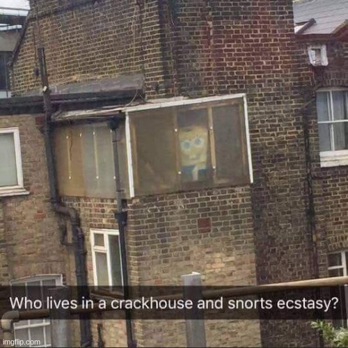SPONGEBOB NEED CRACK | made w/ Imgflip meme maker