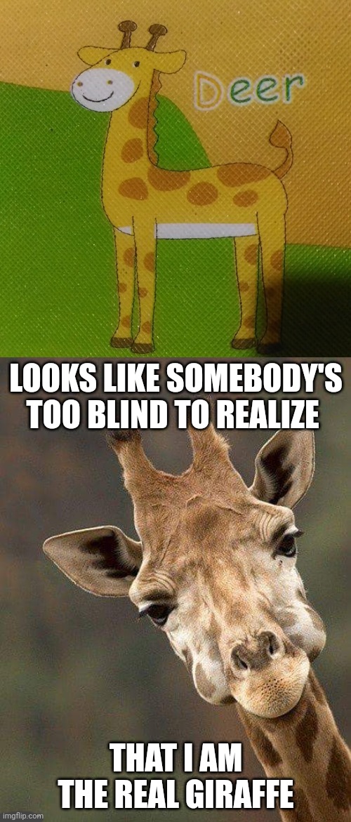 Giraffe, not deer | LOOKS LIKE SOMEBODY'S TOO BLIND TO REALIZE; THAT I AM THE REAL GIRAFFE | image tagged in giraffe face,giraffe,reposts,repost,memes,you had one job | made w/ Imgflip meme maker
