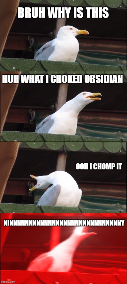 Inhaling Seagull | BRUH WHY IS THIS; HUH WHAT I CHOKED OBSIDIAN; OOH I CHOMP IT; NINNNNNNNNNNNNNNNNNNNNNNNNNNNNNY | image tagged in memes,inhaling seagull | made w/ Imgflip meme maker