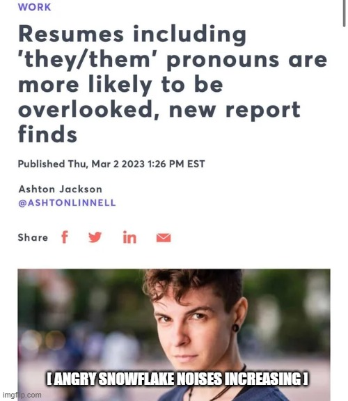 High Quality Why Gen Z can't find a Job. Blank Meme Template