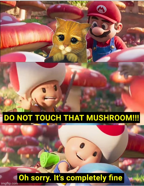 Do not touch that mushroom | image tagged in do not touch that mushroom | made w/ Imgflip meme maker