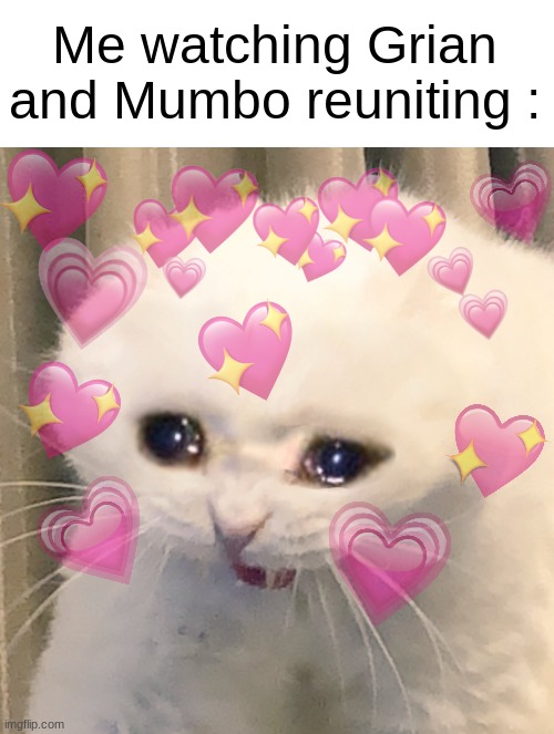 Loving & Crying Cat | Me watching Grian and Mumbo reuniting : | image tagged in loving crying cat,hermitcraft,mumbo jumbo,grian | made w/ Imgflip meme maker