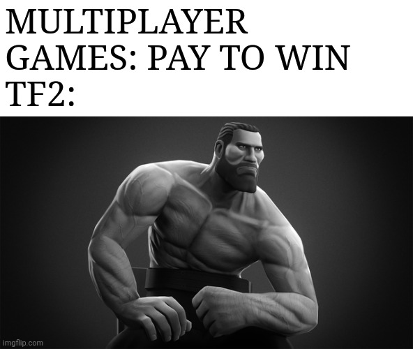 MULTIPLAYER GAMES: PAY TO WIN
TF2: | made w/ Imgflip meme maker