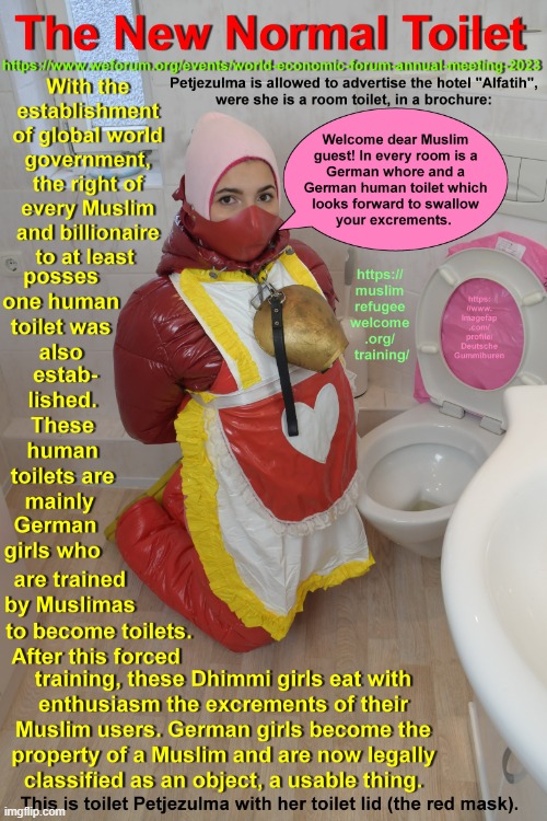 toilet Petjezulma | image tagged in toilet petjezulma | made w/ Imgflip meme maker