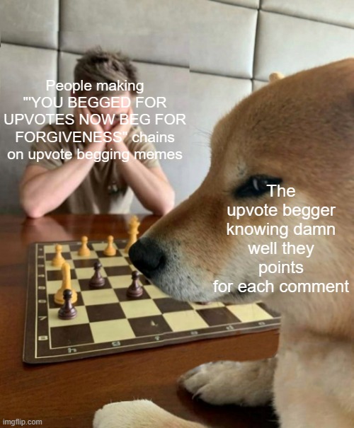 Just downvote them into oblivion |  People making "'YOU BEGGED FOR UPVOTES NOW BEG FOR FORGIVENESS" chains on upvote begging memes; The upvote begger knowing damn well they points for each comment | image tagged in chess doge | made w/ Imgflip meme maker