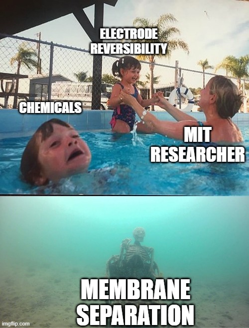 drowning kid + skeleton | ELECTRODE REVERSIBILITY; CHEMICALS; MIT RESEARCHER; MEMBRANE SEPARATION | image tagged in drowning kid skeleton | made w/ Imgflip meme maker