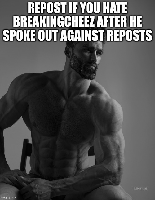 Giga Chad | REPOST IF YOU HATE BREAKINGCHEEZ AFTER HE SPOKE OUT AGAINST REPOSTS | image tagged in giga chad | made w/ Imgflip meme maker