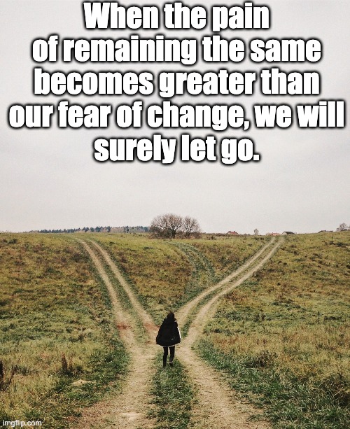 letting go | When the pain of remaining the same
becomes greater than our fear of change, we will
surely let go. | image tagged in change | made w/ Imgflip meme maker