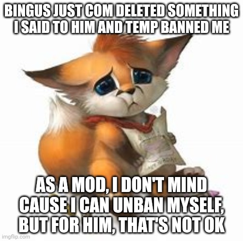 We need mod rules | BINGUS JUST COM DELETED SOMETHING I SAID TO HIM AND TEMP BANNED ME; AS A MOD, I DON'T MIND CAUSE I CAN UNBAN MYSELF, BUT FOR HIM, THAT'S NOT OK | image tagged in sad furry | made w/ Imgflip meme maker