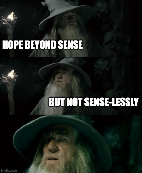 Rabbit Hole: Hope | HOPE BEYOND SENSE; BUT NOT SENSE-LESSLY | image tagged in memes,confused gandalf | made w/ Imgflip meme maker
