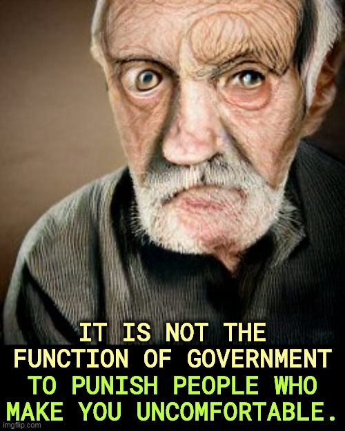 IT IS NOT THE FUNCTION OF GOVERNMENT; TO PUNISH PEOPLE WHO MAKE YOU UNCOMFORTABLE. | image tagged in government,punishment,different | made w/ Imgflip meme maker