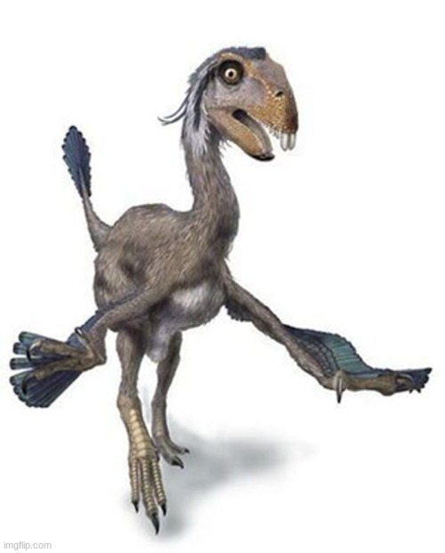 MISTER INCIVOSAURUS | made w/ Imgflip meme maker